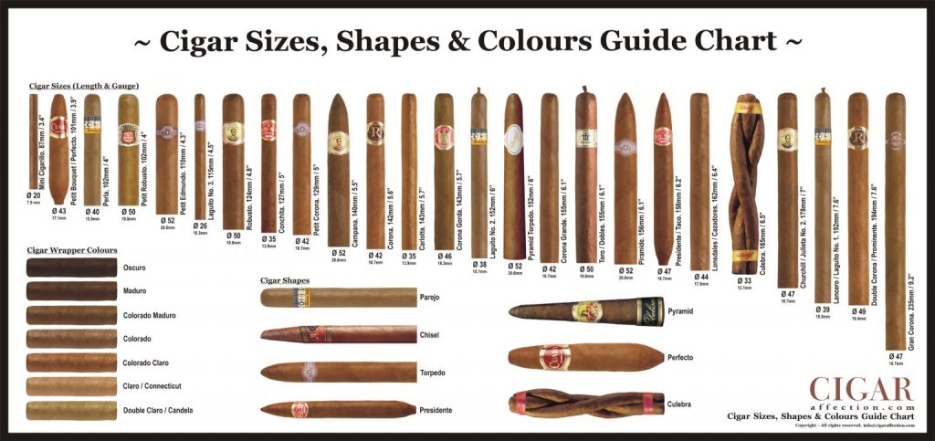 cigar shape and size